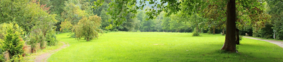 hdr_SPP_owiese01.JPG